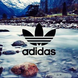 Meet your Posher, Aliza